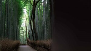 massotherapie-massage-nathaliecaruso-lassomption