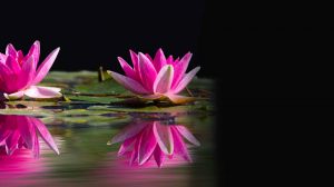 massotherapie-massage-nathaliecaruso-lassomption